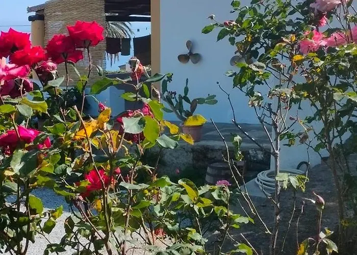 Fontana Angel 말파